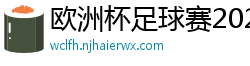 欧洲杯足球赛2024赛程时间表